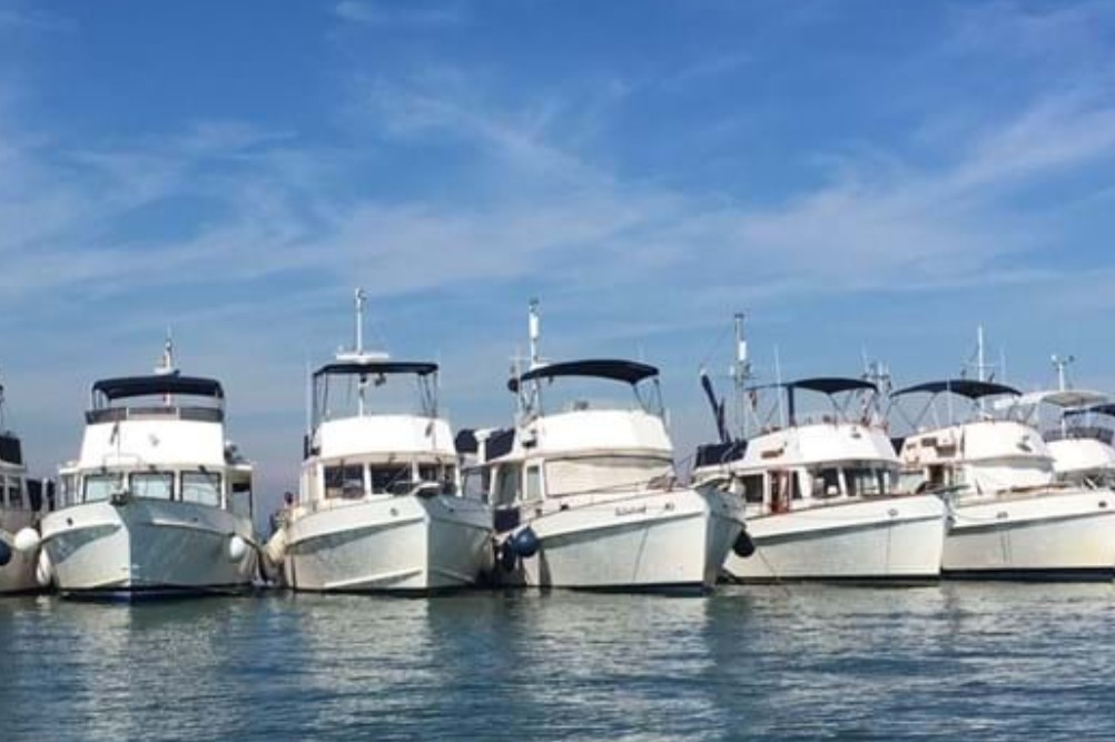 Boat Showrooms, Piper